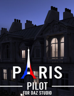 PARIS- Pilot for DS Iray