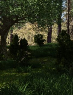 Forest Environment