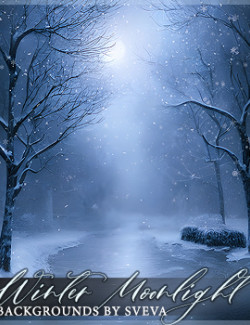 Winter Moonlight Backgrounds