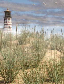 Just Beachy- Marram and Dune Grass for Daz Studio