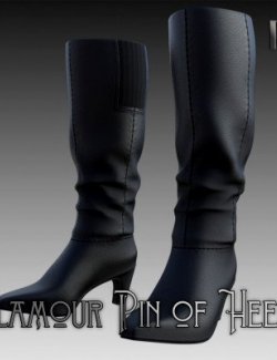 Glamour Pin of Heels 17- High Boots for G9