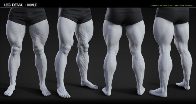 Vascularity HD for Genesis 9 | 3d Models for Daz Studio and Poser