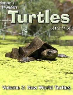 Nature's Wonders Turtles of the World Vol. 2