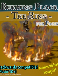 Burning Floor- The Ring