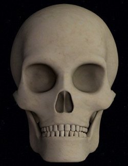 Morphing Skull (Extended License)