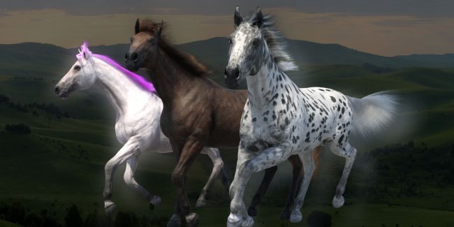 dForce Horse Hair for the Daz Horse 3