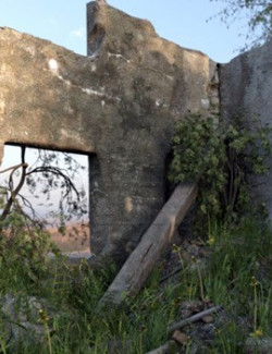3D Scenery: Deserted Concrete Ruin