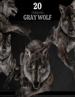 Gray Wolf Overlays