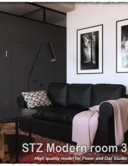 STZ Modern room 3