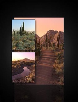 Desert Botanica - Bundle