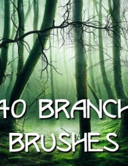 40 Branch Brushes