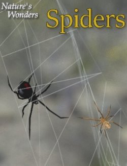 Nature's Wonders Spiders