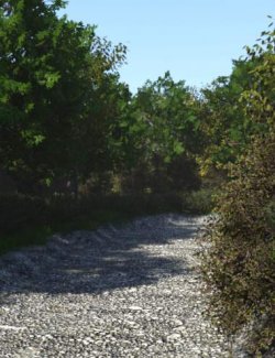 Path Through the Woods