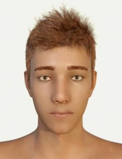 Tim. Head and Body Morphs for Genesis 8 Males