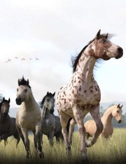 The DA Daz Horse 3 Pro Material Set