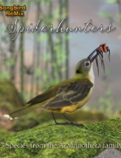 Songbird ReMix Spiderhunters of the World