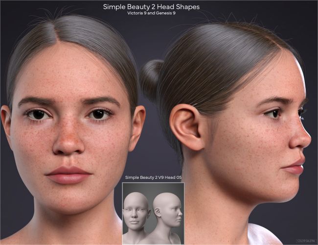 CGI Simple Beauty 2 Head Shapes for Victoria 9 and Genesis 9 | 3d ...