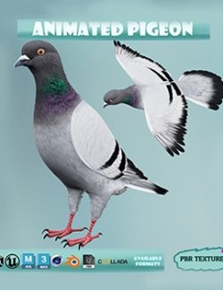 Realistic Animated Rock Pigeon