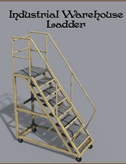 Industrial Warehouse Ladder