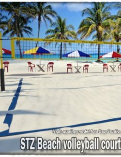 STZ Beach volleyball court