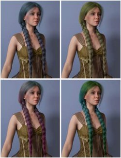 Long Braids Hair Color Expansion