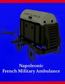 Napoleonic French Ambulance