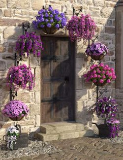 Hanging Baskets