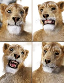 JW Expressions for Niketa the Lioness