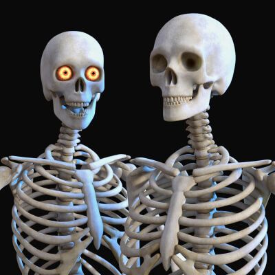 Skeleton Original Figure