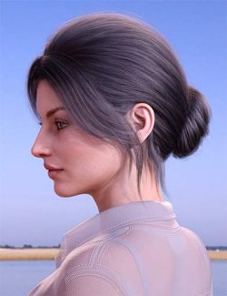 BS Updo Hair for Genesis 9, 8.1, and 8 Female