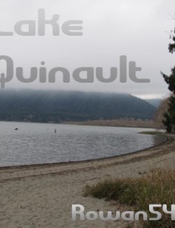 Lake Quinault