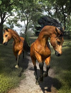 dForce Horse Hair for the Daz Horse 3