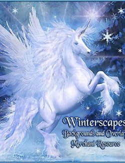 Winterscapes Backgrounds and Overlays MR