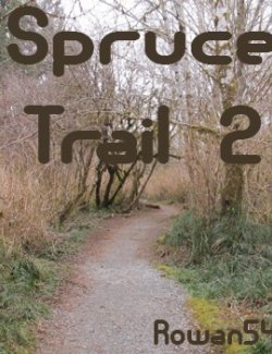Spruce Trail 2