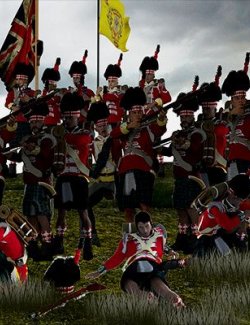 Wellingtons Scottish Highland Infantry