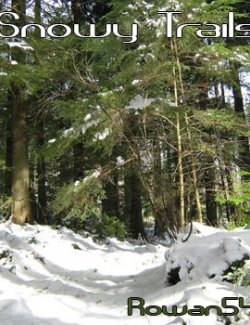 Snowy Trail