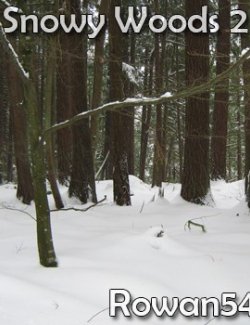 Snowy Woods 2