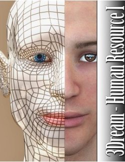 3Dream - Human Resource I