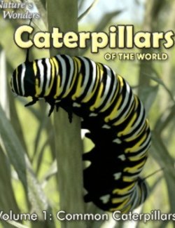 Nature's Wonders Caterpillars of the World Vol. 1