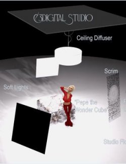 C3Digital Studio Lighting Environment for DAZ Studio