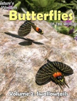 Nature's Wonders Butterflies of the World Volume 2