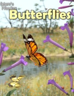 Nature's Wonders Butterflies