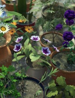 Photo Props: Potted Plants