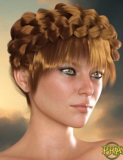 Prae-Heidi Hair For G8F/G9 Daz