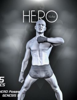 Shn Hero Poses