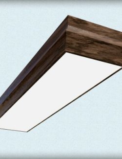 Wooden Fluorescent Light Fixture