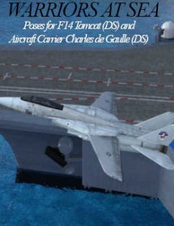 Warriors At Sea Poses, F14 Tomcat (DS) & Aircraft Carrier Charles de Gaulle (DS)