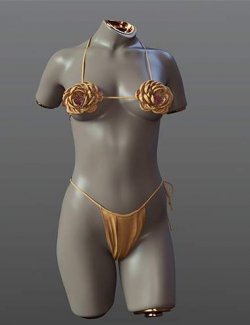 SPR Simple Swimsuit with dForce for Genesis 9