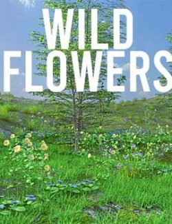 1stB HighLands Wildflowers Ground Props