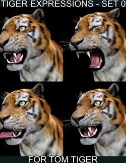 Tiger Expressions Set 0 for Tom Tiger